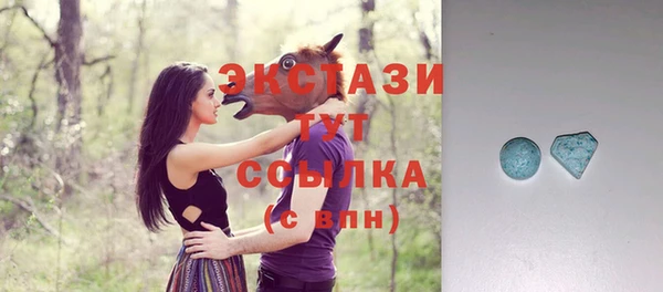 хмурый Верея