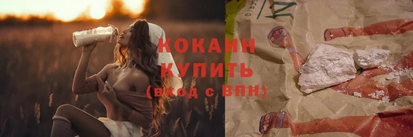 хмурый Верея