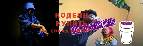 хмурый Верея