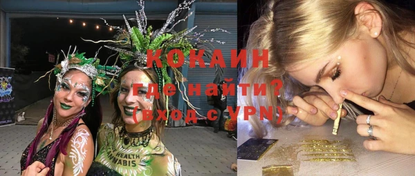 шишки Володарск