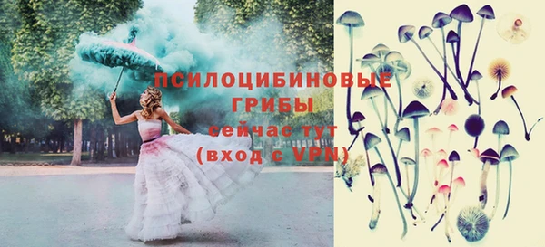 хмурый Верея