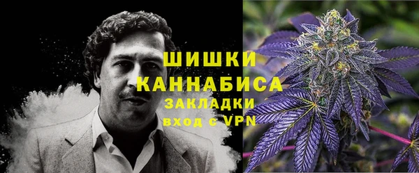 хмурый Верея