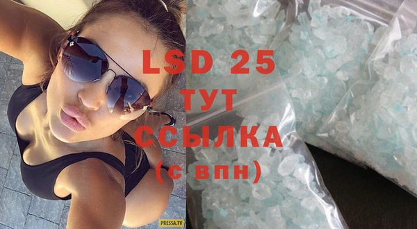 хмурый Верея