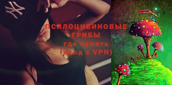 шишки Володарск
