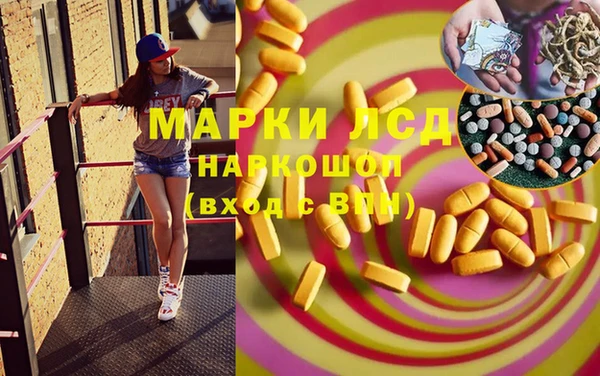хмурый Верея